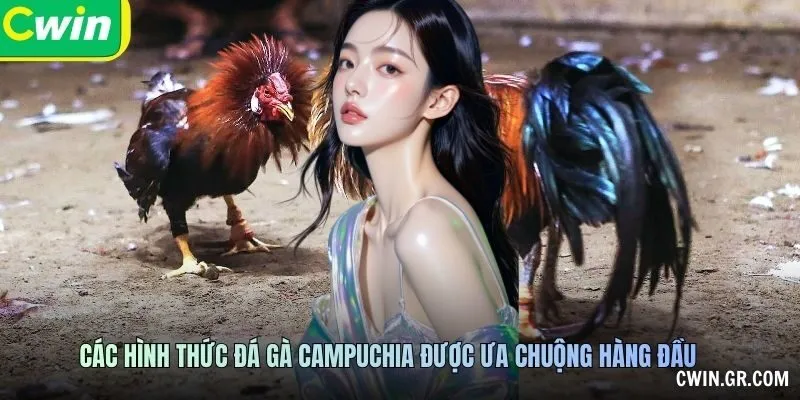 Các hình thức đá gà campuchia được ưa chuộng hàng đầu