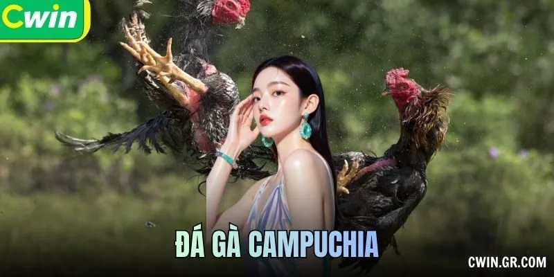 Đá Gà Campuchia – Sức Hút Từ Những Trận Đấu Đỉnh Cao Mỗi Ngày
