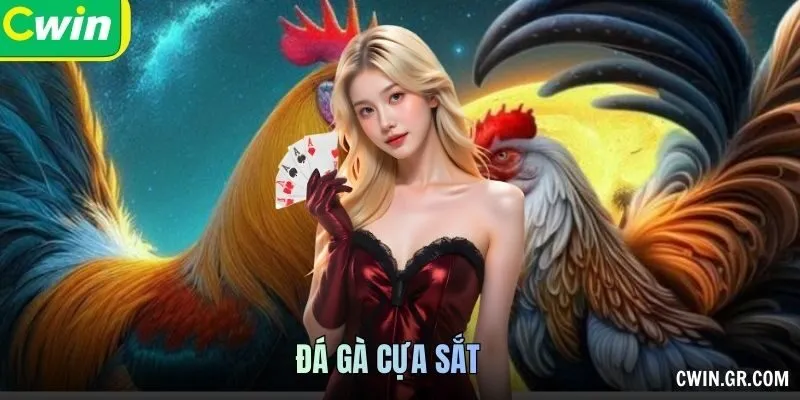 Đá Gà Cựa Sắt – Giao Đấu Nhanh, Tốc Độ Định Thắng Thua